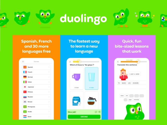 Duolingo app icon on a colorful background, promoting language learning and education.