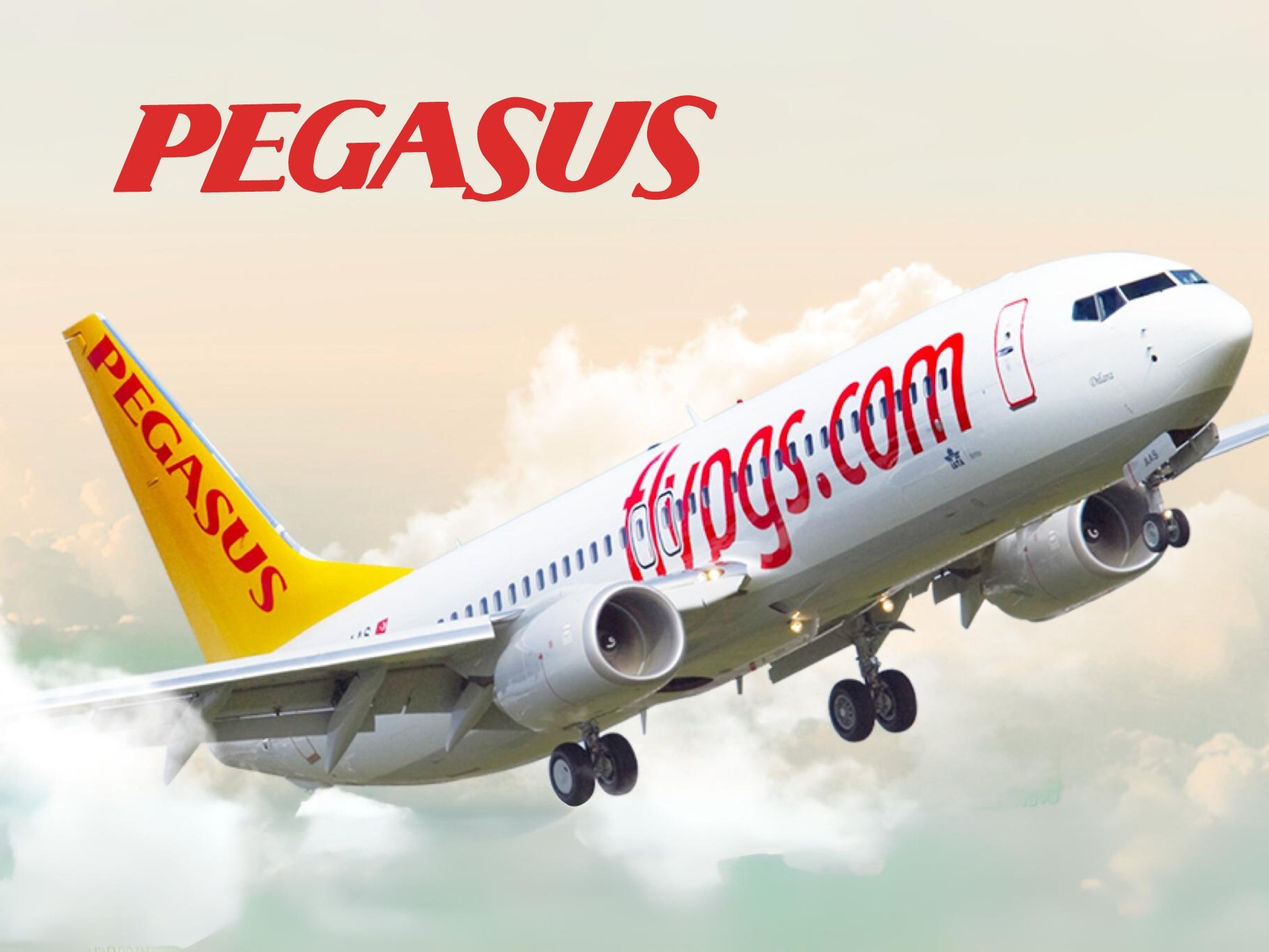 Pegasus Airlines cover image featuring a majestic Pegasus bird against a vibrant sky, promoting affordable flights and travel deals.