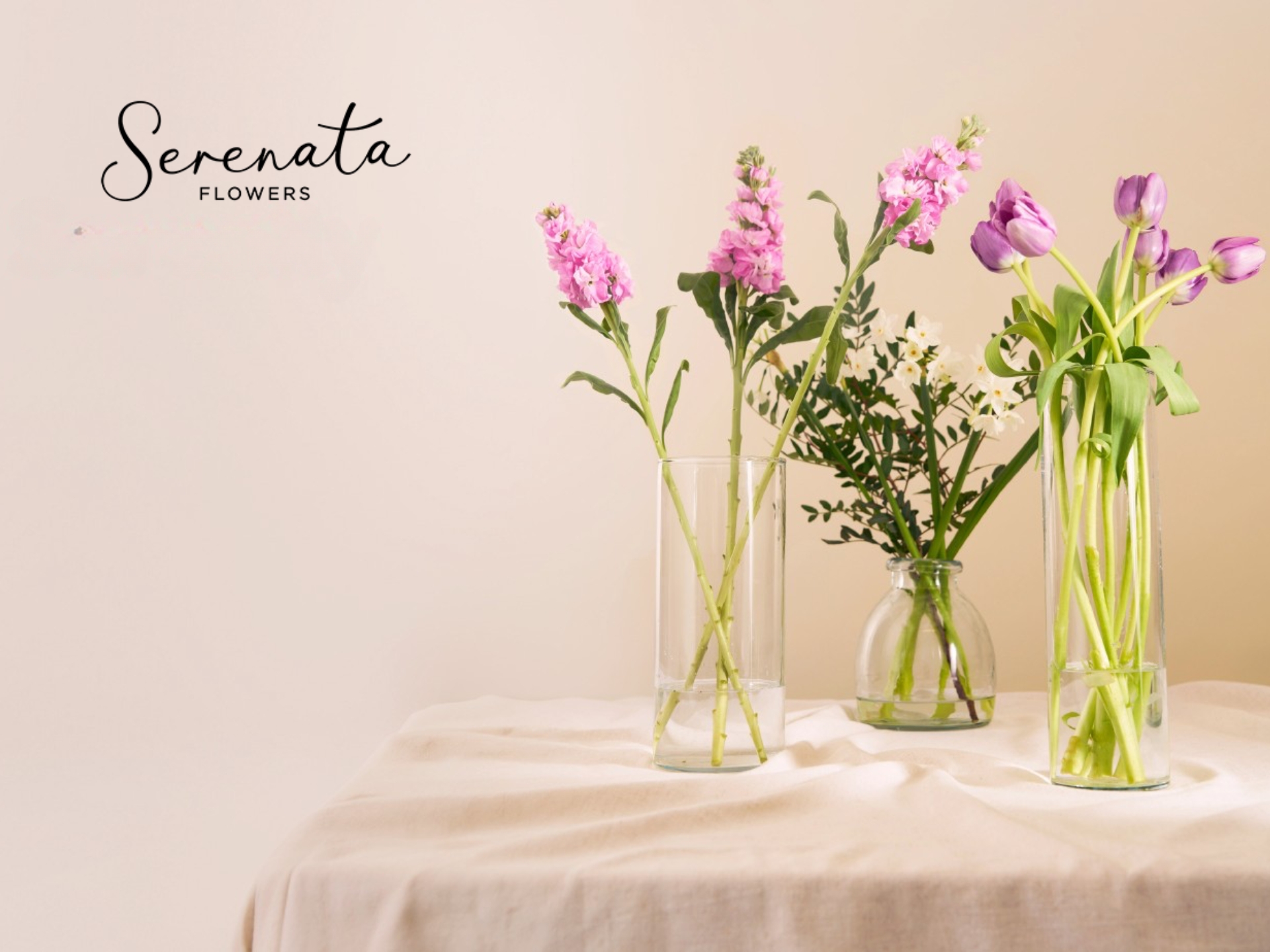 Serenata Flowers Discount Code Beautiful fresh flower bouquet from Serenata Flowers, online flower delivery UK. Premium blooms, perfect for any occasion.
