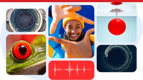 Shutterstock subscription discount offer showing savings on professional stock photography and creative assets.