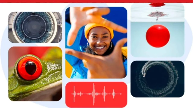 Shutterstock subscription discount offer showing savings on professional stock photography and creative assets.