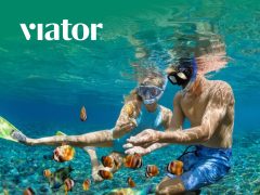 Viator cover photo: Explore tours, activities, and travel experiences. Book sightseeing adventures, day trips, and find best deals.