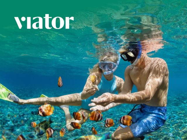 Viator Viator cover photo: Explore tours, activities, and travel experiences. Book sightseeing adventures, day trips, and find best deals.
