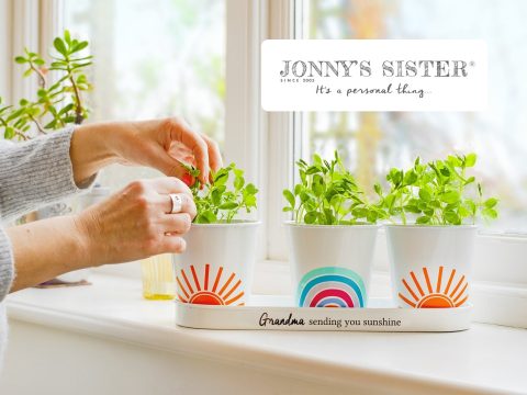 Jonny's Sister album cover - Indie Pop, music release, album art. Featuring a vibrant design and bold typography.