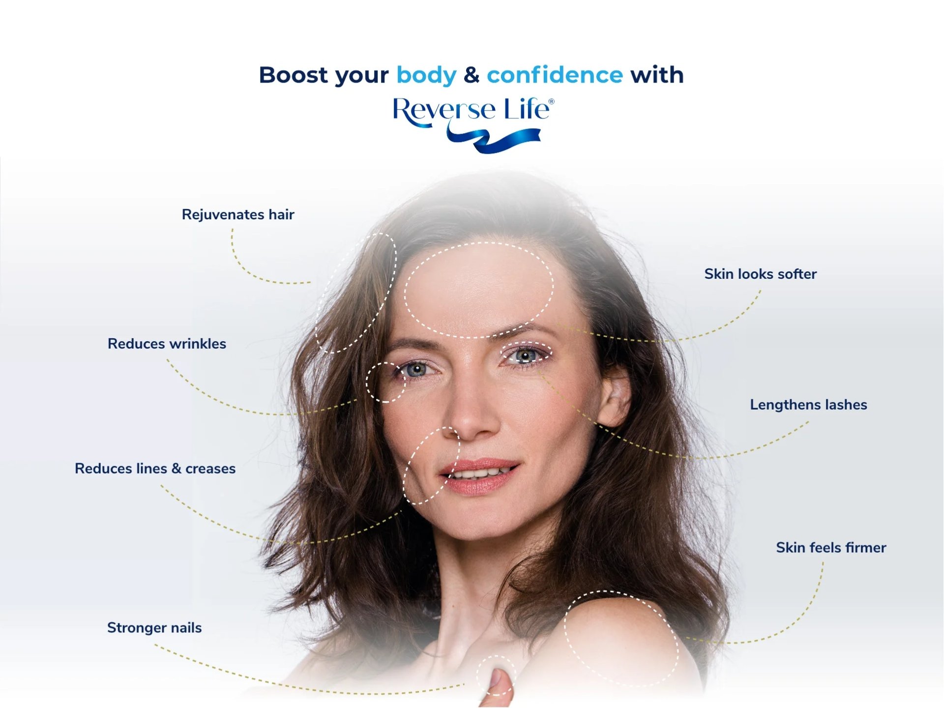 Reverse Life Cover Policy Illustration - Financial Protection & Peace of Mind