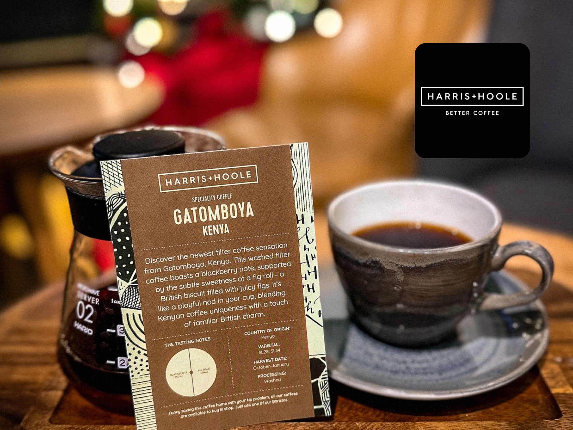 Harris & Hoole new collection cover. Stylish design, contemporary home decor. Shop online now for great deals on furniture and homeware.