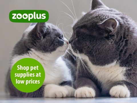 Zooplus cover image showcasing a variety of pet food and supplies, highlighting quality and selection for dogs and cats.