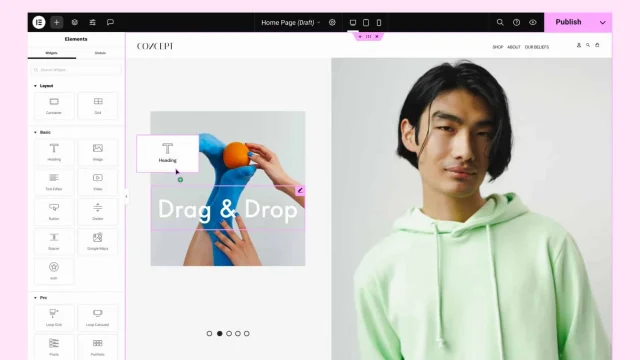 Elementor website builder interface showing drag-and-drop design tools for professional web development projects.