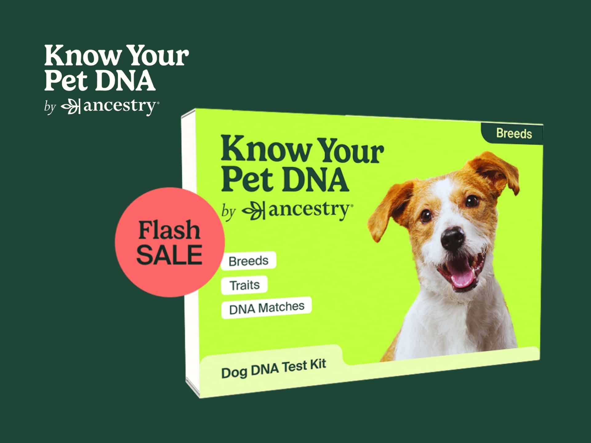 Know Your Pet DNA cover: Discover your dog or cat's breed, health risks & traits with a DNA test. Shop now!