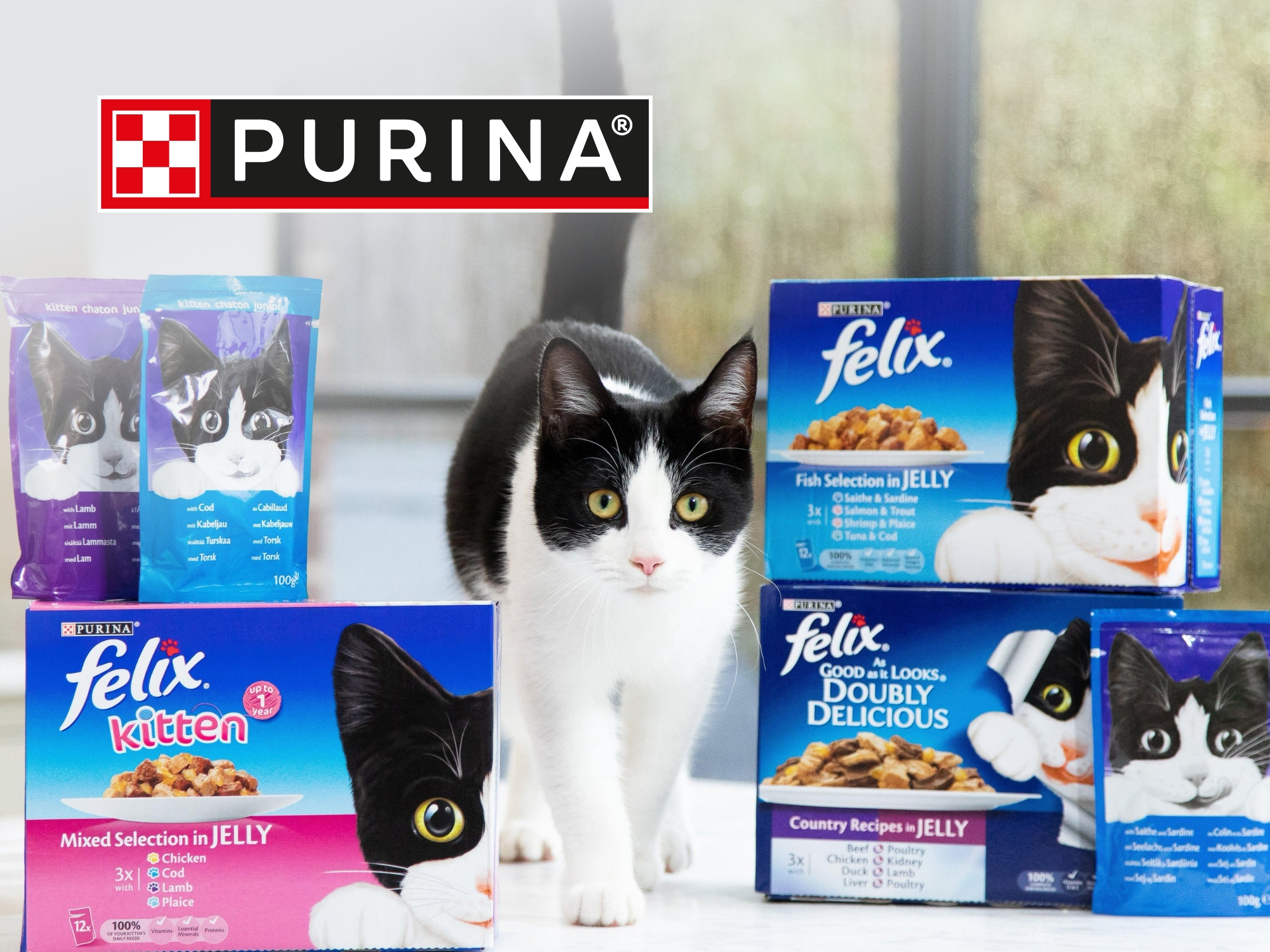 Purina brand cover image featuring dog food and cat food products, highlighting Purina's pet food options for dogs and cats, offering savings and deals.