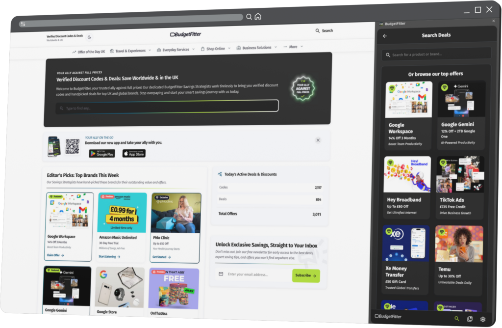 BudgetFitter extension settings page showing control options.