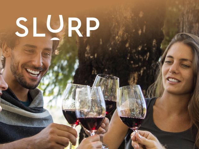 Slurp Slurp Wine: Woman enjoying a glass of red wine, cozy scene, wine tasting, vineyard experience. Discover great wine deals.