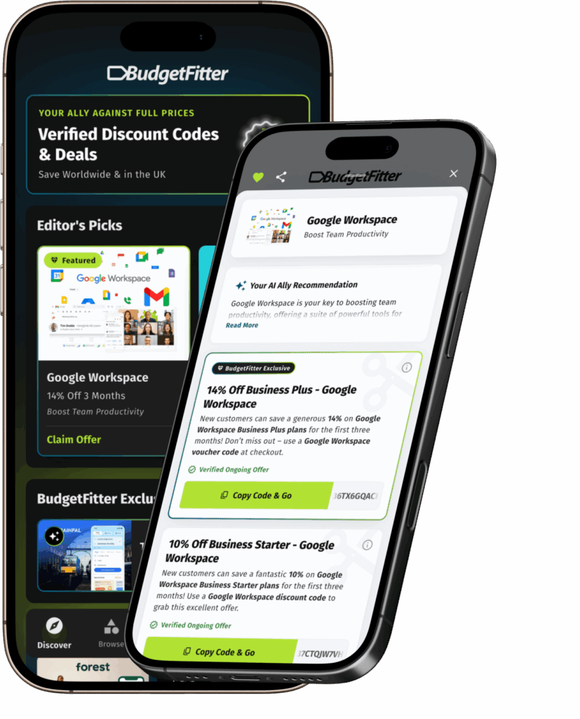 BudgetFitter extension settings page showing control options.