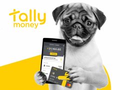 TallyMoney cover image: Digital banking platform showcasing financial management and secure transactions for users.