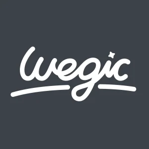 Wegic AI Logo (2026)