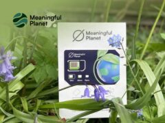 Scenic landscape promoting Meaningful Planet's commitment to sustainability and eco-friendly conservation efforts.