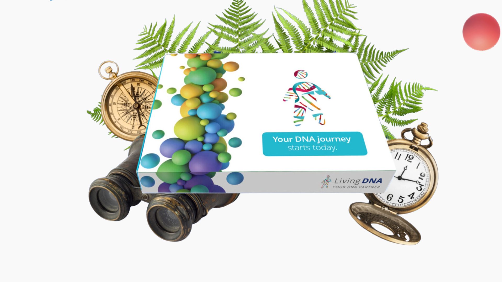 Living DNA genetic testing kit box on a clean surface, representing ancestry and health DNA analysis services.