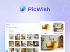 PicWish AI photo editor interface showcasing professional image enhancement and background removal features.