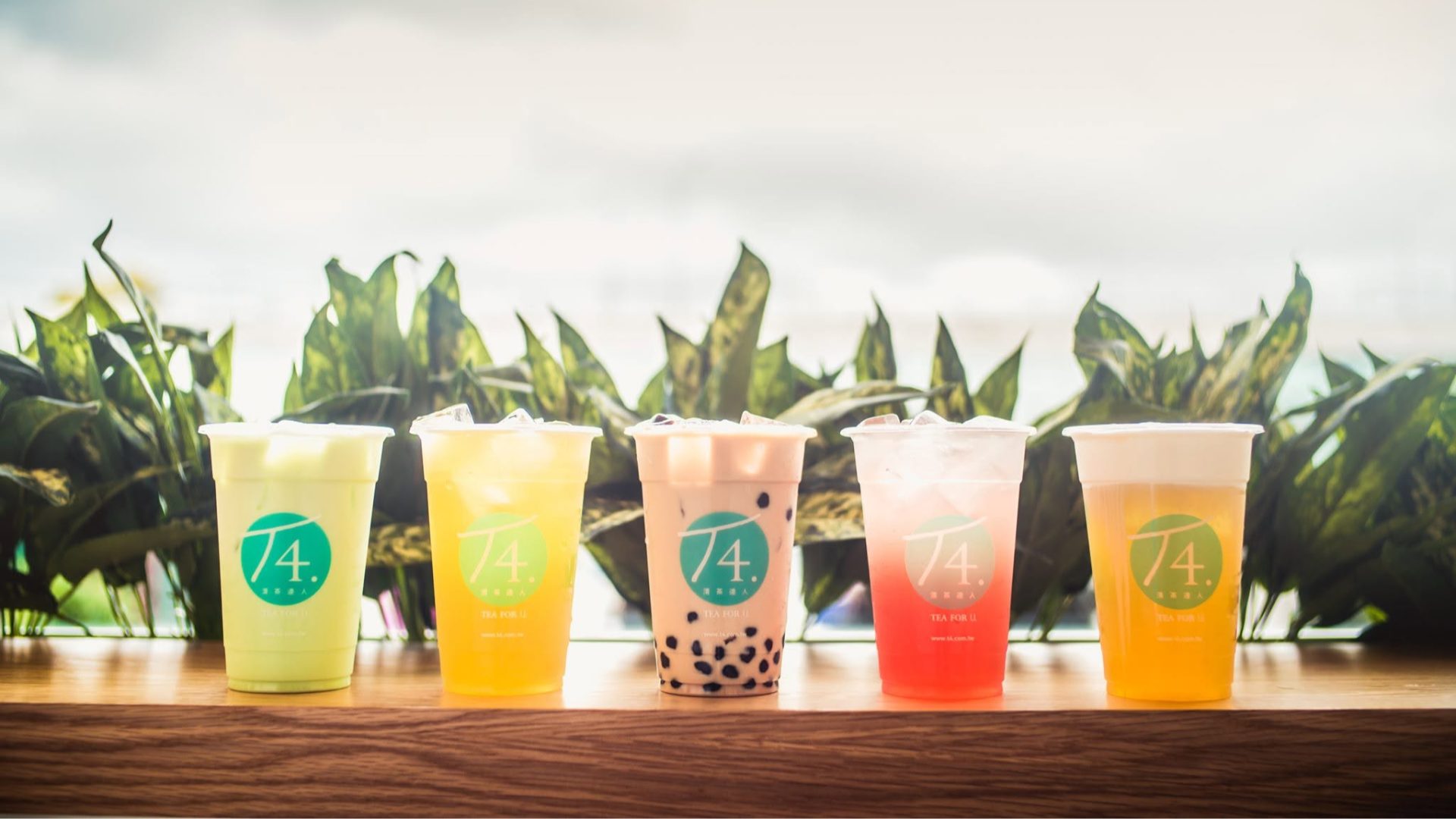Five T4 bubble tea drinks in plastic cups lined up on a wooden counter with green plants in the background.