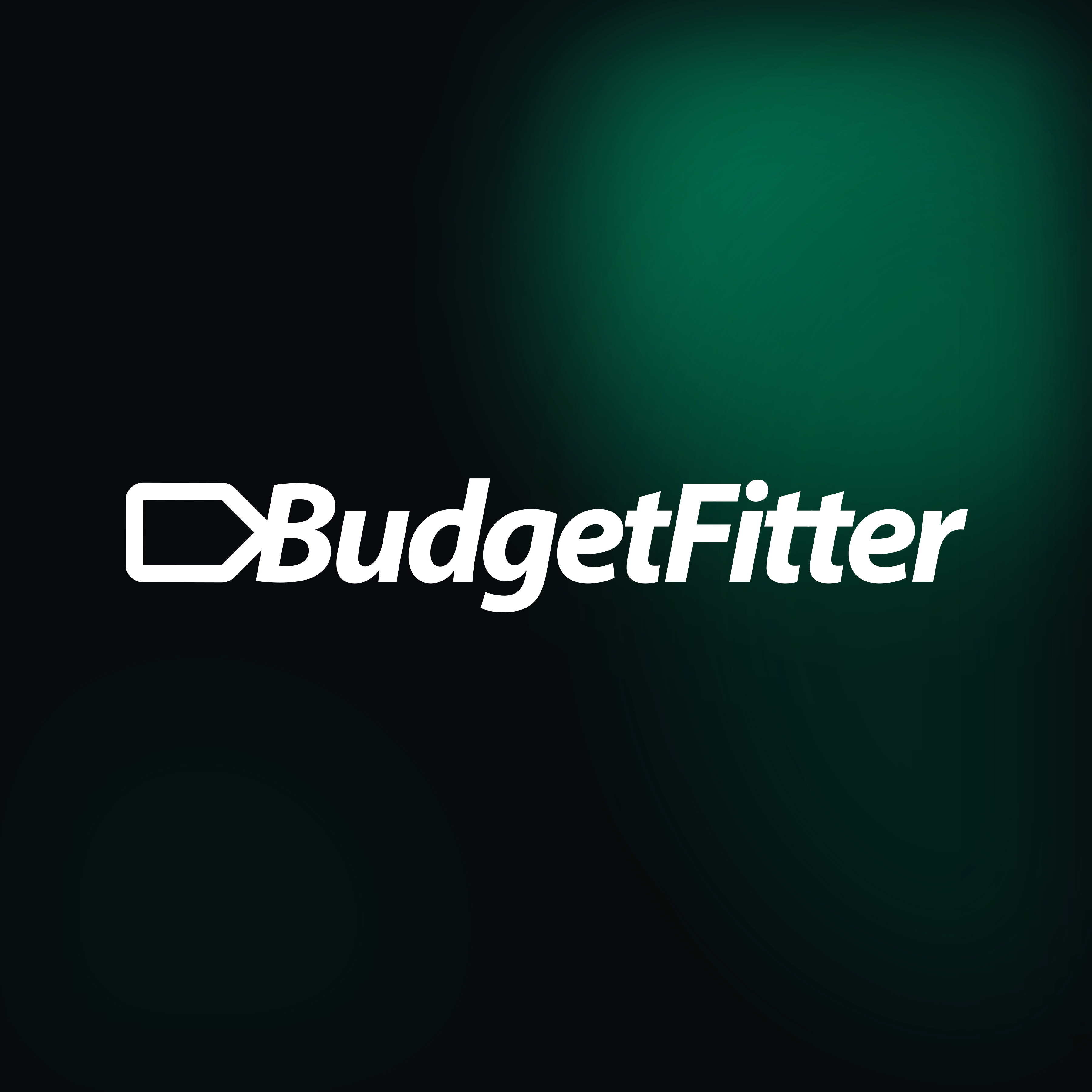 BudgetFitter Avatar Clean Logo