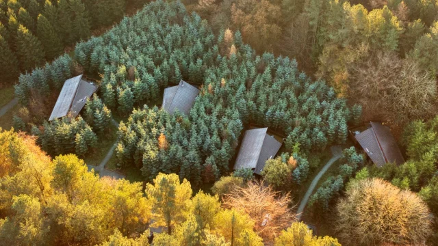 A scenic forest holiday cabin nestled amongst lush green trees, perfect for a relaxing UK woodland getaway experience.
