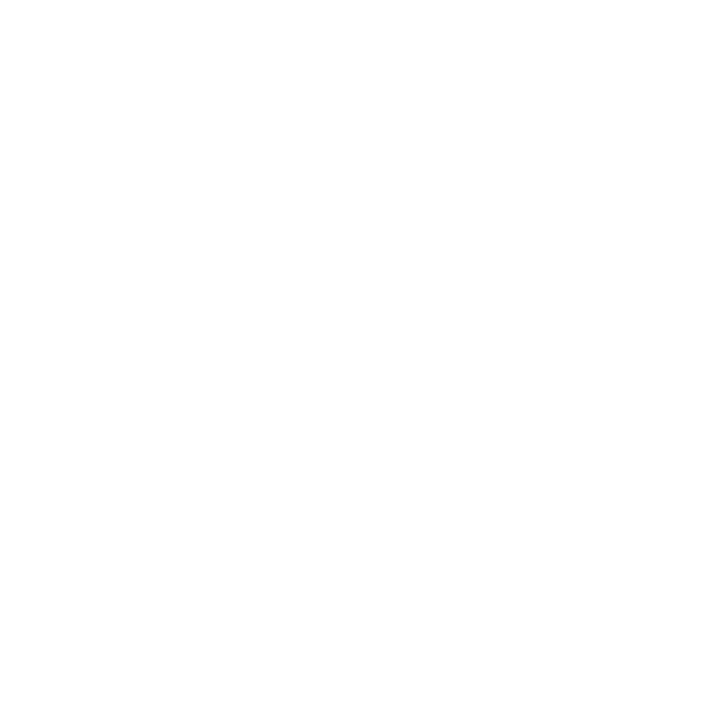 Bouncer Logo (2026)