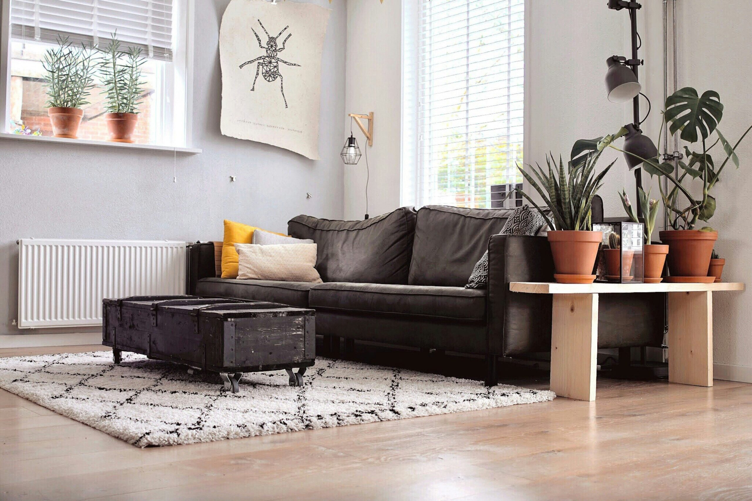Living room with moving boxes, charcoal sofa and coffee table on moving day
